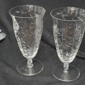Vintage Bryce Fern Leaf #894 Etched Water Goblets Set of 2 Blown Glass USA